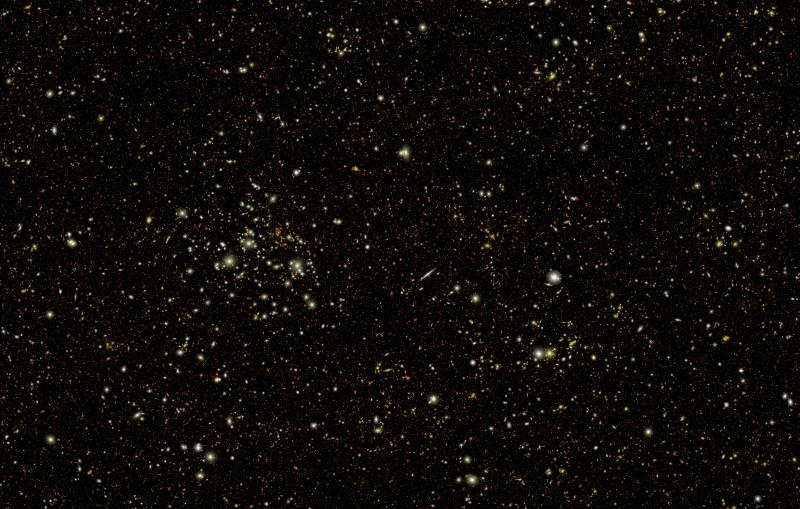 A field of bright spots on a black background.