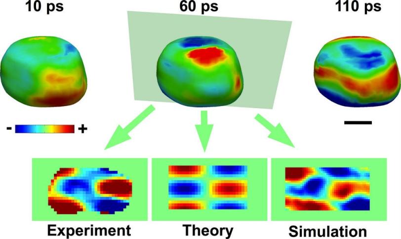 Image - 3-D rendering of a gold nanocrystal imaged 10...